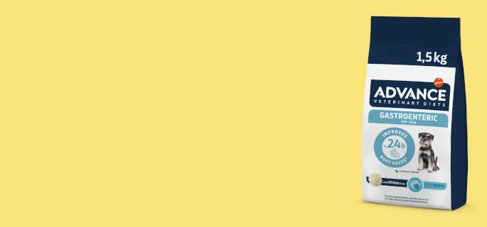 sub-banner1
