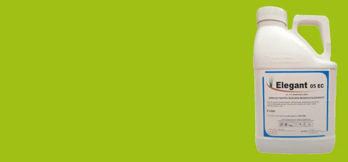 sub-banner2